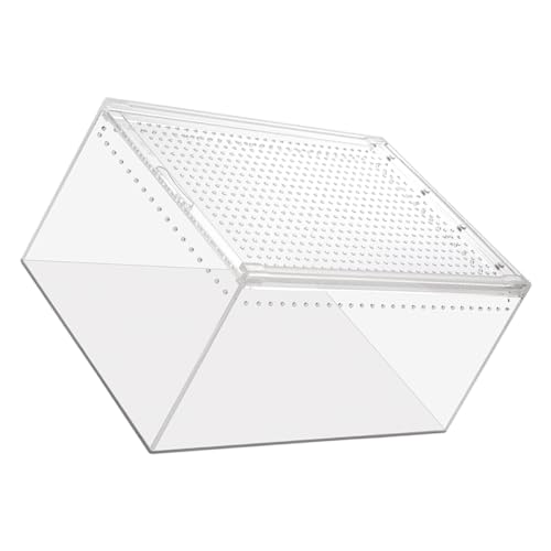 GANAZONO Reptil Käfig Kasten für Schlangen Frösche Spinnen Transparente Terrarienbox Heimchenhalter Geeignet für Kleine Reptilien und Design GANAZONO Reptil Käfig Kasten für Schlangen Frösche Spinnen Transparente Terrarienbox Heimchenhalter Geeignet für Kleine Reptilien und Design von GANAZONO