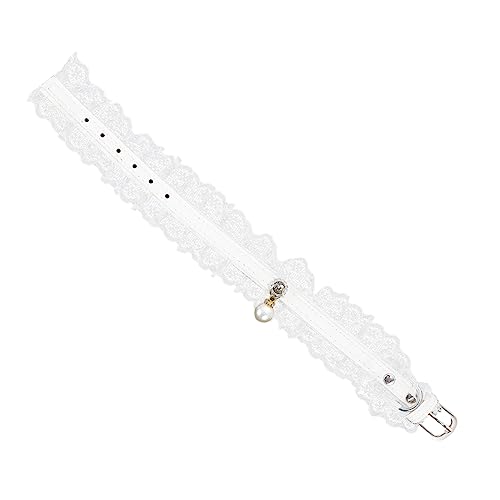 GANAZONO Verstellbares Haustierhalsband Katzenhalsband Hundehalsband Glocke Für Die Fellpflege Und Besondere Anlässe GANAZONO Verstellbares Haustierhalsband Katzenhalsband Hundehalsband Glocke Für Die Fellpflege Und Besondere Anlässe von GANAZONO