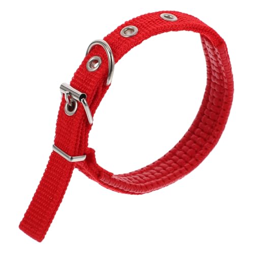 GANAZONO Verstellbares Haustierhalsband aus Polyester mit Robustem Legierungsschnalle für Katzen für Outdoor Aktivitäten und Partys Verschiedene GANAZONO Verstellbares Haustierhalsband aus Polyester mit Robustem Legierungsschnalle für Katzen für Outdoor Aktivitäten und Partys Verschiedene von GANAZONO