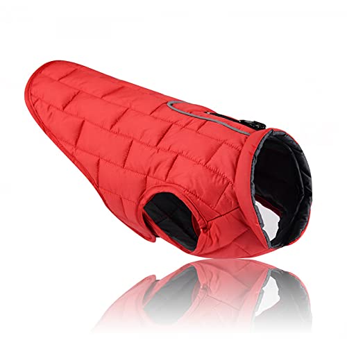 Hundejacke – wendbarer Fleece-Wintermantel – Schutz bei kaltem Wetter – kann mit Geschirr oder zusätzlichen Schichten getragen werden – reflektierende Akzente, Zugang zur Leine, wasserabweisend Hundejacke – wendbarer Fleece-Wintermantel – Schutz bei kaltem Wetter – kann mit Geschirr oder zusätzlichen Schichten getragen werden – reflektierende Akzente, Zugang zur Leine, wasserabweisend von GANDUNQI