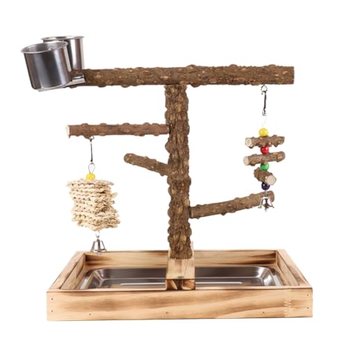 GANYKQ Vogelschaukel, Papageien Käfig Spielzeug, Holzschaukel mit Spielzeugtablett Fütterungstassen Training für kleine Größe Vögel Papageien GANYKQ Vogelschaukel, Papageien Käfig Spielzeug, Holzschaukel mit Spielzeugtablett Fütterungstassen Training für kleine Größe Vögel Papageien von GANYKQ