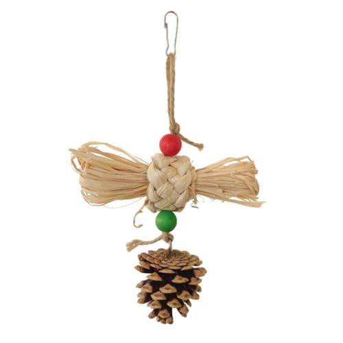 GANYKQ Vogelspielzeug Papagei Kauspielzeug Vogelkäfig Hängendes Reißspielzeug Kleine Vögel Käfig Schaukel Spielzeug für Lovebirds Conure GANYKQ Vogelspielzeug Papagei Kauspielzeug Vogelkäfig Hängendes Reißspielzeug Kleine Vögel Käfig Schaukel Spielzeug für Lovebirds Conure von GANYKQ