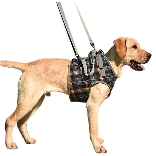 Hebegeschirr für Hunde, Hundeschlinge für große Hunde, Vorderbeinstütze, Hundegeschirr mit Griff für Vorderbeine, verstellbare Gurte, Unterstützung für Spaziergänge, Blau, S Hebegeschirr für Hunde, Hundeschlinge für große Hunde, Vorderbeinstütze, Hundegeschirr mit Griff für Vorderbeine, verstellbare Gurte, Unterstützung für Spaziergänge, Blau, S von GAOCUNBING