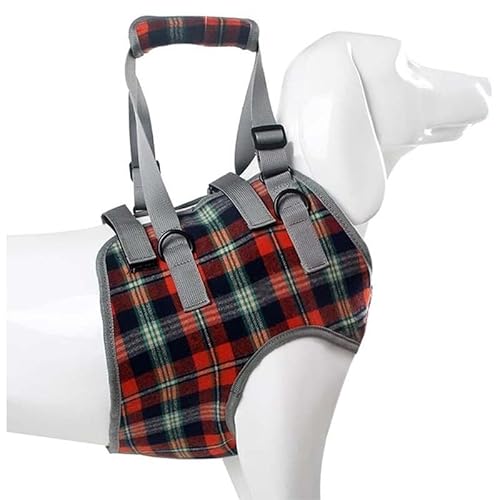 Hundegeschirr zum Heben, Hundeschlinge für große Hunde, Vorderbeinstütze, Hundegeschirr mit Griff für Vorderbeine, verstellbare Gurte, Unterstützung für Spaziergänge, Rot, XL Hundegeschirr zum Heben, Hundeschlinge für große Hunde, Vorderbeinstütze, Hundegeschirr mit Griff für Vorderbeine, verstellbare Gurte, Unterstützung für Spaziergänge, Rot, XL von GAOCUNBING