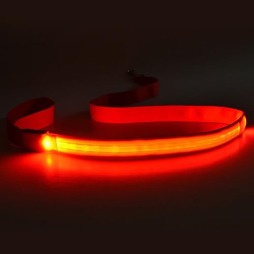 Set mit 4 wiederaufladbaren LED-Hundeleinen, langes Nylon, für verbesserte Sichtbarkeit bei Nacht und Sichtbarkeit für Hunde Set mit 4 wiederaufladbaren LED-Hundeleinen, langes Nylon, für verbesserte Sichtbarkeit bei Nacht und Sichtbarkeit für Hunde von GAOFESA