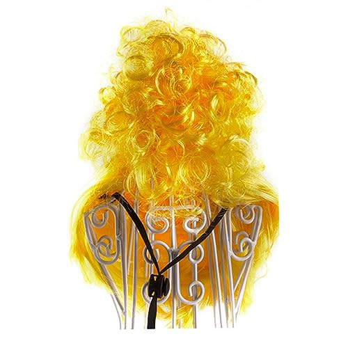 GAOINTELL Mode Haustier Kopfbedeckung Auffälliger Look Perücken Für Halloween Weihnachtsfeier Kopfschmuck Geschenk Für Party von GAOINTELL