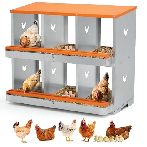 Hühner Nistkasten, 6 Löcher Nistkästen, Heavy Duty Metall Legekästen, Zweistöckiger Nistkasten Eiersammlung für Hühnerstall, Handbuch enthalten Hühner Nistkasten, 6 Löcher Nistkästen, Heavy Duty Metall Legekästen, Zweistöckiger Nistkasten Eiersammlung für Hühnerstall, Handbuch enthalten von GAOMON