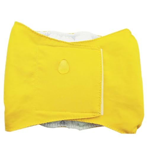 Hundebänder, atmungsaktiv, für Damen, Bauchbänder, Höschen, Shorts, wiederverwendbar, waschbar Hundebänder, atmungsaktiv, für Damen, Bauchbänder, Höschen, Shorts, wiederverwendbar, waschbar von GAOSHA