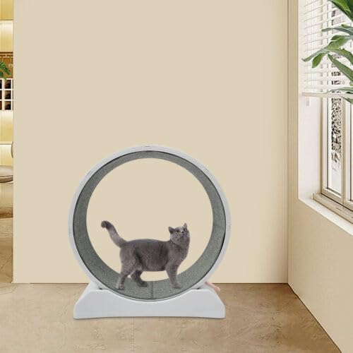 Katzenlaufrad Laufrad für Katzen Durchmesser 80cm Katzen Laufrad Ultraleises Sicherheits Trainingsspielzeug,Für die Meisten Katzen Geeignet Katzenlaufrad Laufrad für Katzen Durchmesser 80cm Katzen Laufrad Ultraleises Sicherheits Trainingsspielzeug,Für die Meisten Katzen Geeignet von GAOUSD