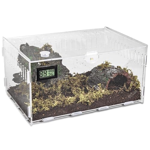 Acryl Terrarium Schnecken Terrarium: Reptile Fütterungsbox 30 * 20 * 15cm, Transparent Schnecken Mini Terrarium, Kriechender Haustier Acryl-Terrarium-Behälter für Reptilien, Schnecken, Spinnen von GAOUTO