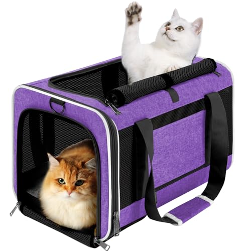 GAPZER Haustier-Tragetasche für große Katzen, 9 kg + / weiche Seiten, für kleine Hunde, 5,4 kg, Reisebox, Top-Load/faltbare Kätzchen-Tragetasche, Netzgewebe, stabiler Tiertransportkäfig, Zwinger GAPZER Haustier-Tragetasche für große Katzen, 9 kg + / weiche Seiten, für kleine Hunde, 5,4 kg, Reisebox, Top-Load/faltbare Kätzchen-Tragetasche, Netzgewebe, stabiler Tiertransportkäfig, Zwinger von GAPZER