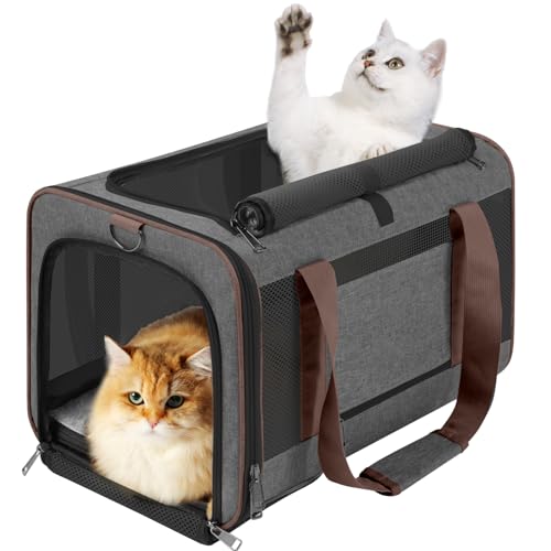 GAPZER Transporttasche für kleine Hunde, weich, Chihuahua, Softshell-Großkatze, Maine Coon/Haustier-Taxi-Tragetasche, über 11,3 kg, Toplader, Reisehütte, Braun GAPZER Transporttasche für kleine Hunde, weich, Chihuahua, Softshell-Großkatze, Maine Coon/Haustier-Taxi-Tragetasche, über 11,3 kg, Toplader, Reisehütte, Braun von GAPZER