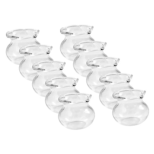 GARIOUANS 10 Stück Fischbecken Transparentes Aquarium für DIY Mini Häuser Dekorative Mini Fisch Tanks für Kreative Hochwertige Handwerkskunst und Realistisches Design von GARIOUANS