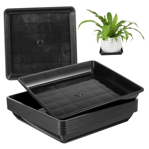 GARIOUANS 10 Stück Teiliges Quadratischer Pflanztopf Untersetzer Robustem Kunststoff für Garten und Innenbereich Schwarz Hitzebeständig und Langlebig von GARIOUANS