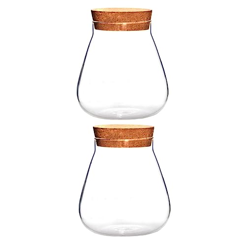 GARIOUANS 2 Stück Teiliges Glasvase mit Korken für Mikrolandschaften Transparente Pflanzflasche zur Hydrokultur Stabiles Vorratsglas für Kleine Pflanzen und Dekorative Terrarien GARIOUANS 2 Stück Teiliges Glasvase mit Korken für Mikrolandschaften Transparente Pflanzflasche zur Hydrokultur Stabiles Vorratsglas für Kleine Pflanzen und Dekorative Terrarien von GARIOUANS