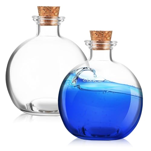 GARIOUANS 2 Stück Terrarium mit Korkverschluss Kugelflasche für Pflanzen Hydroponik Dekoration Vielseitiger Landschaftsbehälter Langlebiges Dicht Schließendes Pflanzgefäß von GARIOUANS