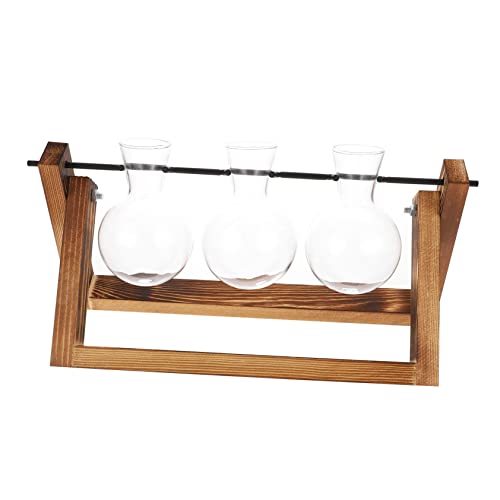 GARIOUANS Hydroponische Pflanzenvermehrung Terrarium Glasvase mit Holzständer Teiliges Desktop Pflanzgefäß für Wasserpflanzen Dekorative Blumenzwiebel Hydrokultur Station für von GARIOUANS