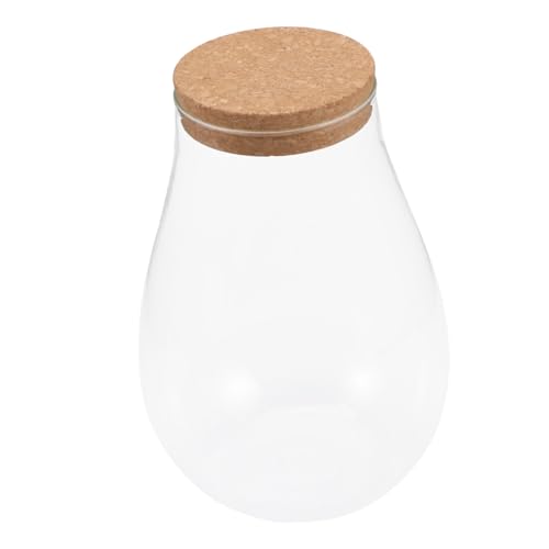 GARIOUANS Hydroponisches Pflanzen Terrarium Glasflasche mit Korken für DIY Moos Micro Landschaft Transparente Pflanzstation für Zimmer Büro und Wohnkultur von GARIOUANS