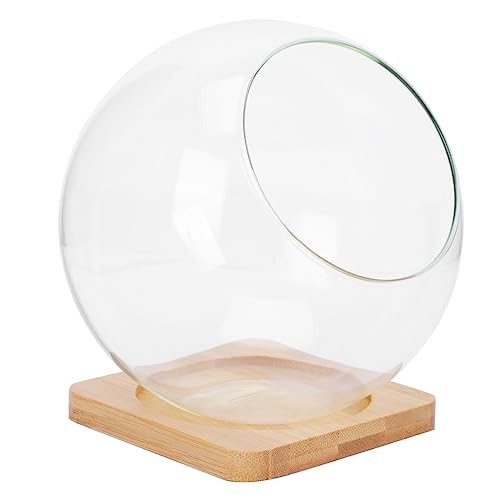 GARIOUANS Micro Landscape Glasvase mit Schrägem Bambusuntersetzer Transparentes Sukkulenten Terrarium für DIY Pflanzenarrangements und Nachhaltige Innenraumdekoration von GARIOUANS