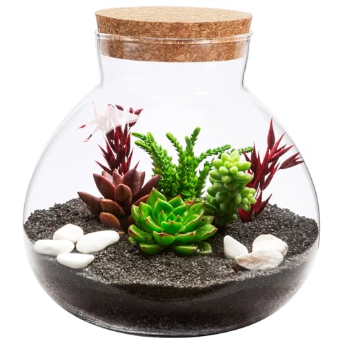 GARIOUANS Micro Landschaft Flasche Rundes Glasgefäß mit Korkverschluss Transparentes DIY Pflanzgefäß für Innenbegrünung Glatte Oberfläche Platzsparend Dekorativ Leicht zu Reinigen GARIOUANS Micro Landschaft Flasche Rundes Glasgefäß mit Korkverschluss Transparentes DIY Pflanzgefäß für Innenbegrünung Glatte Oberfläche Platzsparend Dekorativ Leicht zu Reinigen von GARIOUANS