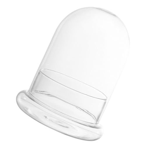 GARIOUANS Micro Landschafts Glasflasche mit Klarem Sichtfenster Langlebiges Terrarium für Sukkulenten und Moos DIY Ökosystem Glasvasen Dekoration für Schreibtisch und Große Transparente GARIOUANS Micro Landschafts Glasflasche mit Klarem Sichtfenster Langlebiges Terrarium für Sukkulenten und Moos DIY Ökosystem Glasvasen Dekoration für Schreibtisch und Große Transparente von GARIOUANS