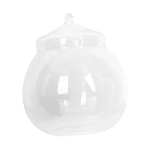 GARIOUANS Terrarium mit Deckel Ecological Bottle für DIY Mikrolandschaft Transparenter Pflanzbehälter zur Dekoration von Wohn und Büroräumen Pflanzen Terrarium von GARIOUANS