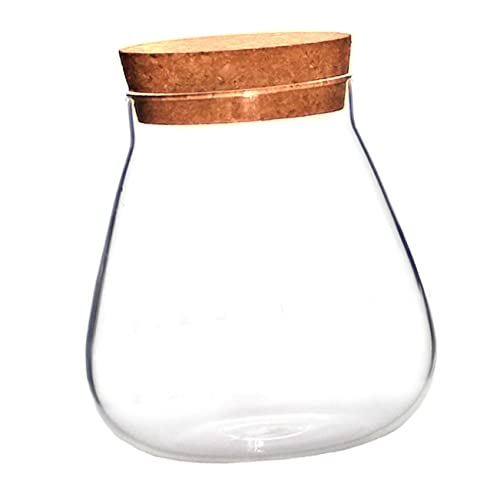 GARIOUANS Transparente DIY Glasflasche mit Korkverschluss Dekoratives Terrarium Pflanzgefäß Vielseitiger Aufbewahrungsbehälter für Sukkulenten Kerzen und Kleine Dekorationen für und von GARIOUANS
