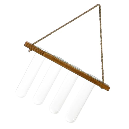 GARIOUANS Wandmontierte Glasvase für Hydroponik Pflanzen Dekorativer Reagenzglas Blumentopf Kreativer Hängender Wandblumendekor Langlebiges Material Geeignet für Wohnzimmer Zufällige Farbe von GARIOUANS