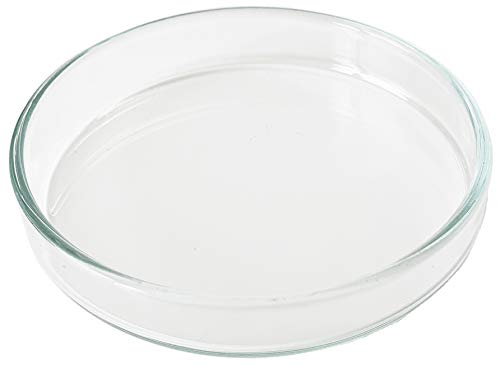 GARNELEN4YOU® Futterschale | Echtglas Made in Germany | Premium Futter-Schale aus Laborglas für Garnelenfutter | sichere & gezielte Fütterung | Glas statt Acryl-Plastik | (1x 6 cm) von GARNELEN4YOU