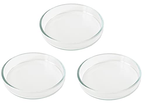 GARNELEN4YOU® Futterschalen Set | Echtglas Made in Germany | Premium Futter-Schalen aus Laborglas für Garnelen-Futter | sichere & gezielte Fütterung | Glas statt Acryl-Plastik (3X 6 cm) von GARNELEN4YOU