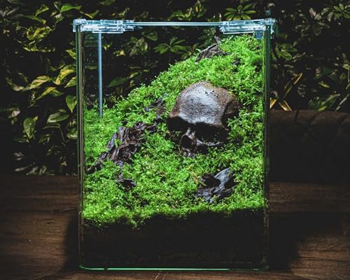 GRNLO Crusta Skull Aquarium Deko | Totenschädel-Versteck aus Keramik für Garnelen, Zwergkrebse & kleine Krabben | Dunkelbraun - 8,5 x 7,5 cm von GARNELIO