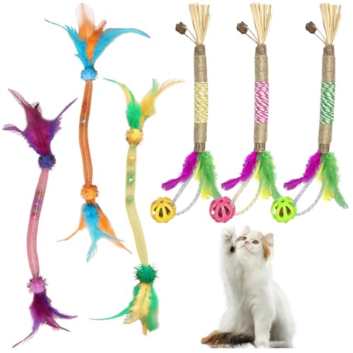 GAROMIA Katzenspielzeug 6 stück Katze Spielzeug katzenspielzeug spirale mit Katzenminze Sticks Beißseilen für Katzen Katzenminze Interaktive Spielzeug Katze Glocke Kausticks Federn GAROMIA Katzenspielzeug 6 stück Katze Spielzeug katzenspielzeug spirale mit Katzenminze Sticks Beißseilen für Katzen Katzenminze Interaktive Spielzeug Katze Glocke Kausticks Federn von GAROMIA
