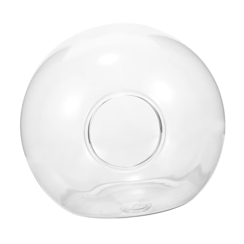 GAROZATION Glasvase, Pflanzglasflasche, Hydrokultur Testflasche, Hängende Art, Hydrokulturvase, Hydrokulturflasche, Glaspflanzenflasche, Blumenhalter, Wandbehang, Pflanzgefäß, Wandmontierte von GAROZATION
