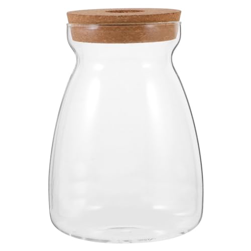 GAROZATION Mikro Landschaftsflasche, Anzucht, Büro, Hydrokultur Terrarium, Gefäß, Desktop, Betta Fisch, Pflanzenbehälter, Pflanzgefäß, Heimvase, Dekoration, Holz, Blumenglas, GAROZATION Mikro Landschaftsflasche, Anzucht, Büro, Hydrokultur Terrarium, Gefäß, Desktop, Betta Fisch, Pflanzenbehälter, Pflanzgefäß, Heimvase, Dekoration, Holz, Blumenglas, von GAROZATION
