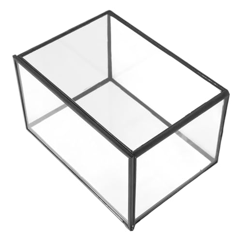 GAROZATION Mikro Landschaftsgewächshaus Landschaftsdisplayhalter Dekorativer Glasbehälter Mikro Landschaftshalter Terrarium Glasbehälter DIY Terrarium Landschaftsbehälter Moos Terrarium von GAROZATION
