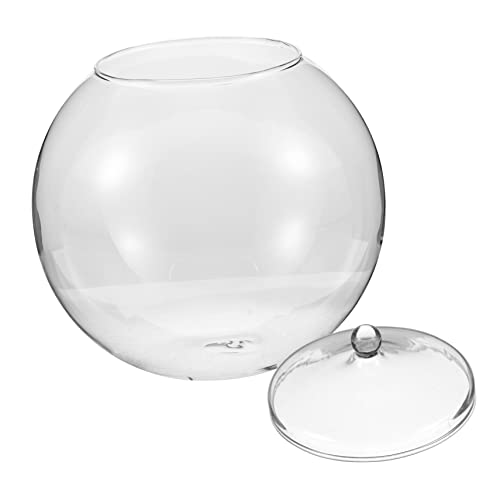 GAROZATION Moos Öko Flasche, Mikro Landschaftsflasche, Terrarium, Mikro Landschaftsbehälter, DIY Pflanzenbehälter, Hydrokulturvase, Mikro Landschaftsflasche, Transparente Flasche, von GAROZATION