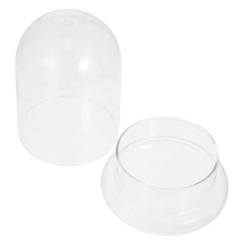 GAROZATION Moosglasflasche, Pflanzenglasvase, Kleine Terrarium Glasvase Für Pflanzen, Feengartenbehälter, Dekorative Gefäße, Blumentöpfe, Innengefäßvase, Terrariumvase, Hydrokulturvasen GAROZATION Moosglasflasche, Pflanzenglasvase, Kleine Terrarium Glasvase Für Pflanzen, Feengartenbehälter, Dekorative Gefäße, Blumentöpfe, Innengefäßvase, Terrariumvase, Hydrokulturvasen von GAROZATION
