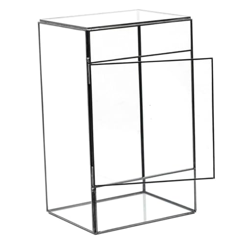 GAROZATION Öko Tisch Landschaftstank Terrarienglas DIY Terrarienglasterrarien Für Pflanzen Terrarienpflanzen Mikrolandschaft DIY Halter Terrariumglas Mikrolandschaftshalter Pflanzenkoffer von GAROZATION
