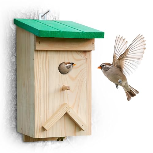 GARTHEIN - Nistkasten aus Echtholz mit grünem Deckel, wetterfest, für Meisen, Rotkehlchen, Spatzen, 28 mm Einflugloch, Spechtschutz, Vogelhaus zum Aufhängen, langlebig und nachhaltig GARTHEIN - Nistkasten aus Echtholz mit grünem Deckel, wetterfest, für Meisen, Rotkehlchen, Spatzen, 28 mm Einflugloch, Spechtschutz, Vogelhaus zum Aufhängen, langlebig und nachhaltig von GARTHEIN