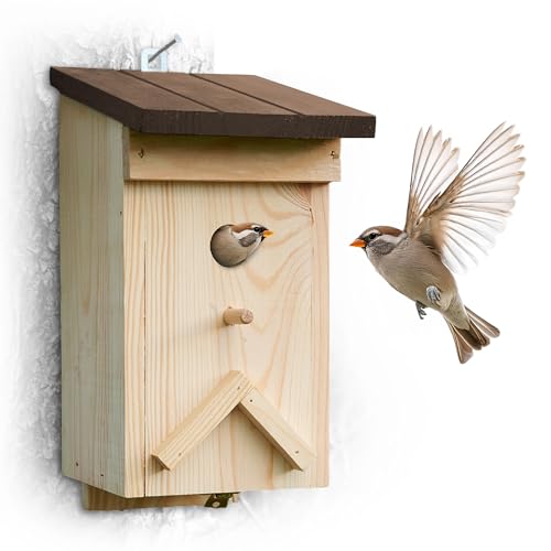 GARTHEIN - Nistkasten aus Echtholz mit braunem Deckel, wetterfest, für Meisen, Rotkehlchen, Spatzen, 28 mm Einflugloch, Spechtschutz, Vogelnistkasten für den Garten, naturbelassen GARTHEIN - Nistkasten aus Echtholz mit braunem Deckel, wetterfest, für Meisen, Rotkehlchen, Spatzen, 28 mm Einflugloch, Spechtschutz, Vogelnistkasten für den Garten, naturbelassen von GARTHEIN