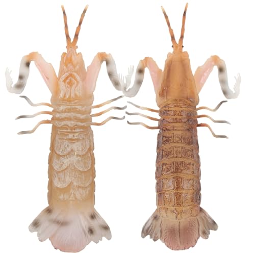 GARVALON 2stücke Realistisches Garnelenmodell Aus Lebensechtes Garnelenmodell Zur Ausstellung Für Dekoration Zu Hause Restaurant GARVALON 2stücke Realistisches Garnelenmodell Aus Lebensechtes Garnelenmodell Zur Ausstellung Für Dekoration Zu Hause Restaurant von GARVALON