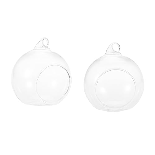 GARVALON 6 Stück Kugelvasen mit Flachboden und Aufhängung Transparente Hängende Terrarien für Sukkulenten DIY Mini Gärten Hochzeitsdeko und Wohnraumgestaltung von GARVALON