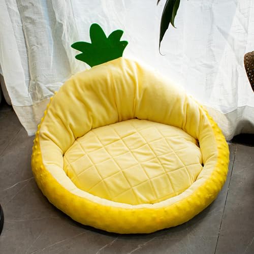 GAUDIO Schlafplätze & Möbel für Hunde, Beruhigendes Katzenbett mit Abnehmbarem Bezug, Waschbar, Warme Couch (Color : Yellow) von GAUDIO