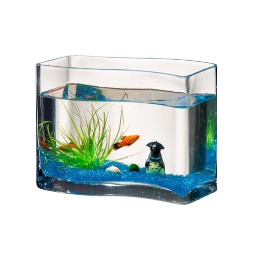 Deko Kreatives Glasaquarium, S-förmiges transparentes Glas, Goldfischaquarium, Tropische Fische, kleines Desktop-Miniaquarium, Schildkrötenbecken, Wohnzimmeraquarien kleines Deko Kreatives Glasaquarium, S-förmiges transparentes Glas, Goldfischaquarium, Tropische Fische, kleines Desktop-Miniaquarium, Schildkrötenbecken, Wohnzimmeraquarien kleines von GBEVAUEIO