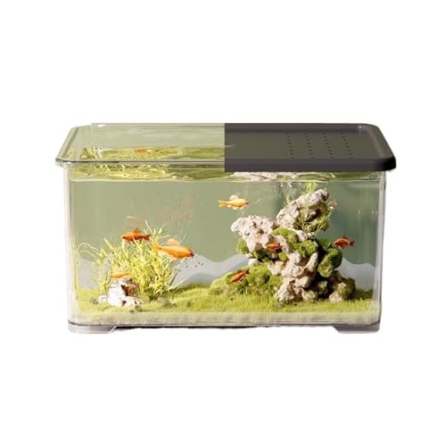 Deko Transparentes Acryl-Aquarium mit Schiebedeckel, kleines Wohnzimmer-Desktop-Aquarium, Büro-Dekoration, Schildkröten-Aquarium kleines(Schwarz) von GBEVAUEIO