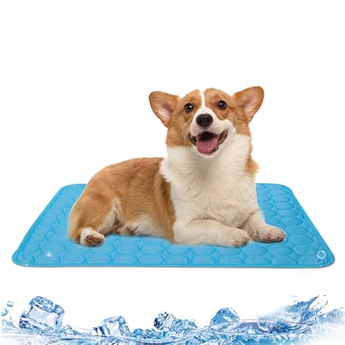 Kühlmatte Hunde Katzen, 70x55cm Haustier Kuhlmatte für Hund und Katze Grosse Kühldecke Verschleißfest Hundebett Waschbar Hundematte Kühl Hundedecke Hundehütte Auto Outdoor Zuhause Kühlmatte Hunde Katzen, 70x55cm Haustier Kuhlmatte für Hund und Katze Grosse Kühldecke Verschleißfest Hundebett Waschbar Hundematte Kühl Hundedecke Hundehütte Auto Outdoor Zuhause von GBKDQQ