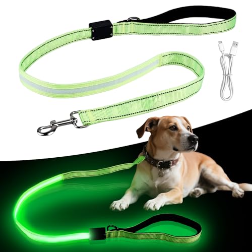 LED Hundeleine für Hunde, led hundeleine USB Wiederaufladbar, Wasserdicht Reflektierend 120cm Verstellbar Leine, Beleuchtete Leine für Nächtliche Spaziergänge, Große und Mittelgroße Hunde (Grün) LED Hundeleine für Hunde, led hundeleine USB Wiederaufladbar, Wasserdicht Reflektierend 120cm Verstellbar Leine, Beleuchtete Leine für Nächtliche Spaziergänge, Große und Mittelgroße Hunde (Grün) von GBKDQQ