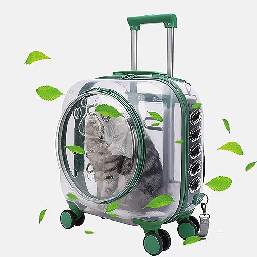 Katzentragetasche mit tragbarem, transparentem Design – Haustier-Trolley für Reisen & Spaziergänge im Freien – Universalräder – ideal für Katzen & Welpen – wanderfreundlich von GCCSSBXF