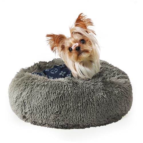 Angstbett für kleine Hunde, Größe XS, 38,1 cm, Welpenbetten für kleine Hunde, waschbar, grüner Donut, flauschig, gemütlich, für beruhigendes warmes Schlafen Angstbett für kleine Hunde, Größe XS, 38,1 cm, Welpenbetten für kleine Hunde, waschbar, grüner Donut, flauschig, gemütlich, für beruhigendes warmes Schlafen von GDBAE