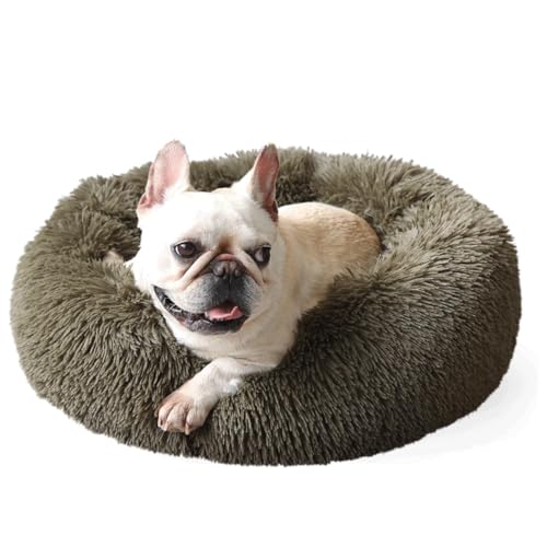 Kleine Hundebetten für Yorkie, waschbar, einfache Reinigung, für Hundekäfig-Welpen, 48,3 cm, Olivgrün Kleine Hundebetten für Yorkie, waschbar, einfache Reinigung, für Hundekäfig-Welpen, 48,3 cm, Olivgrün von GDBAE